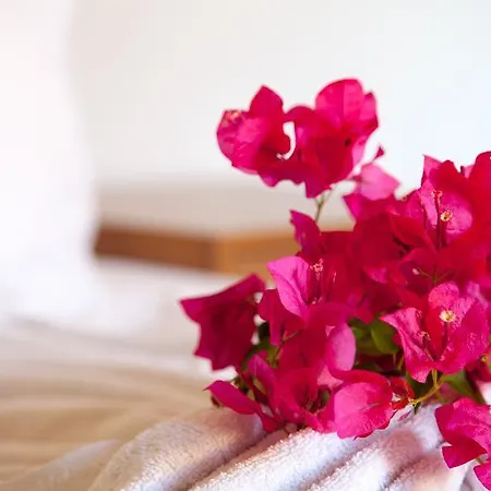 Hotel Nergos 3*